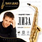 Андрей Губин - Лиза
